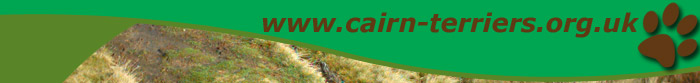 Cairn Terriers UK